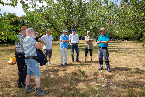 Sommerschnittkurs_20250705_0033.jpg