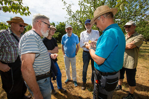 Sommerschnittkurs_20250705_0040.jpg