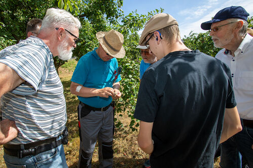 Sommerschnittkurs_20250705_0045.jpg