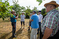 Sommerschnittkurs_20250705_0008.jpg
