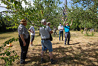Sommerschnittkurs_20250705_0024.jpg