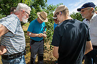 Sommerschnittkurs_20250705_0045.jpg
